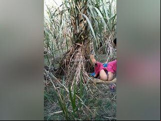 Today Exclusive Sex Village..